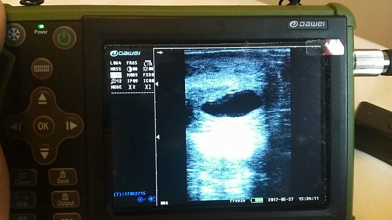 動物B超機,獸用B超機,獸用B超,動物B超
