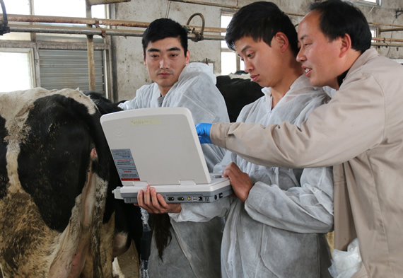 獸用B超,動(dòng)物B超機(jī),牛用B超機(jī)