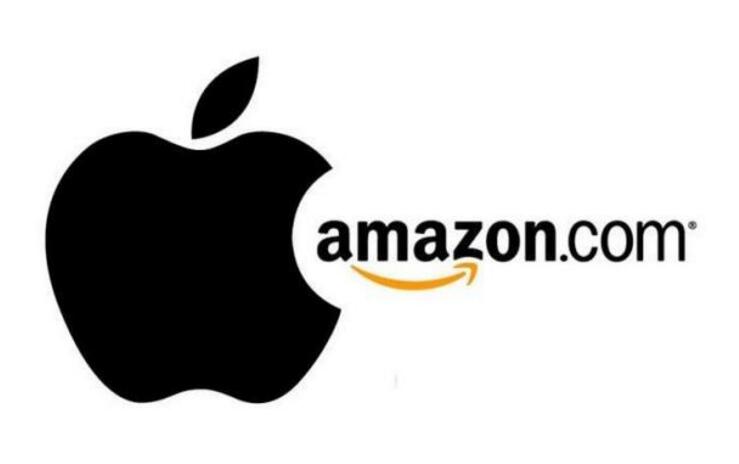 亞馬遜、蘋果等巨頭能改變醫(yī)療行業(yè)的游戲規(guī)則嗎？