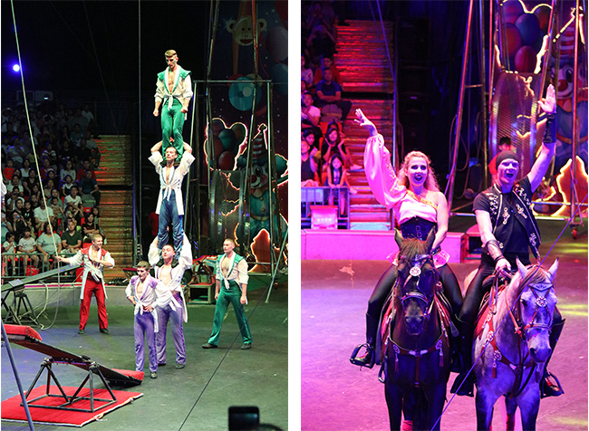 上海游國際馬戲團(tuán)